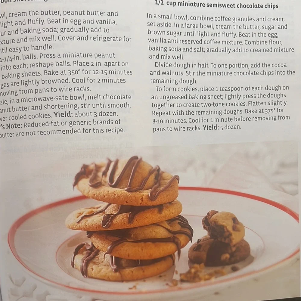 Taste Of Home 2010 Annual Recipies Kitchen Cookbook